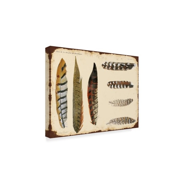 Jean Plout 'Vintage Feather Study Brown' Canvas Art,35x47